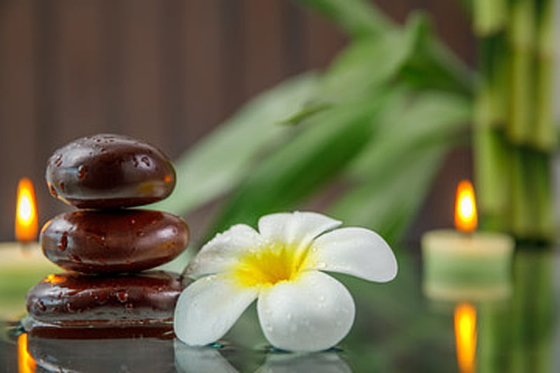 HD-wallpaper-spa-background-plumeria-stones-flower-candle